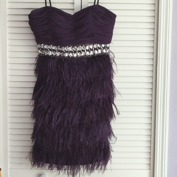Beautiful feather and Rhinestone Dress - Picture 11 of 11